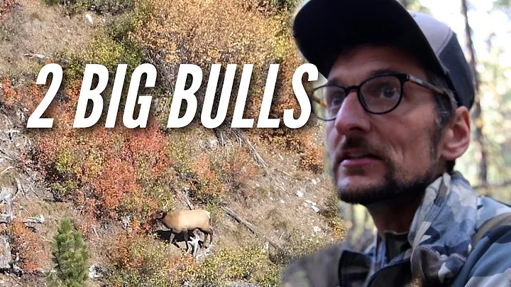 Elk Hunting: Spotting and Stalking Two Bull Elk (Part 3)