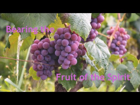Bearing the Fruit of the Spirit