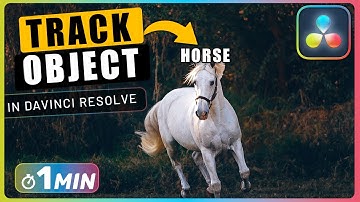 How to TRACK MOVING OBJECTS with Fusion in Davinci Resolve
