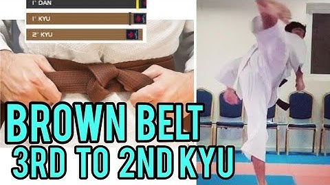 karate belt gradin brown belt 3rd kyu to 2nd kyu