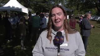 Hundreds Join in Walk for Polycystic Kidney Disease Research and Education