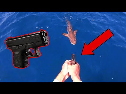 Good thing we had a gun! - Dinner Fishing