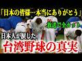 台湾「必ず日本に恩を返します…」日本「私たちも台湾に恩を返します…」日本と台湾の知られざる深い絆【WBC/大谷翔平】
