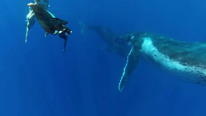 GoPro HERO3  Almost as Epic as the HERO3+ //