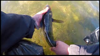 Pesca de robalo con Señuelo junto a Tiempo Libre  Puerto Madryn  Patagonia Argentina