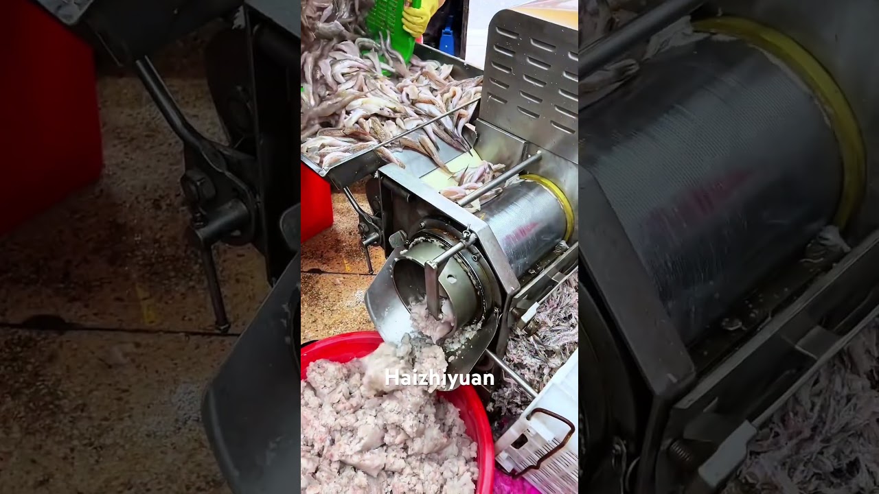 Fish bone and meat separation machine 