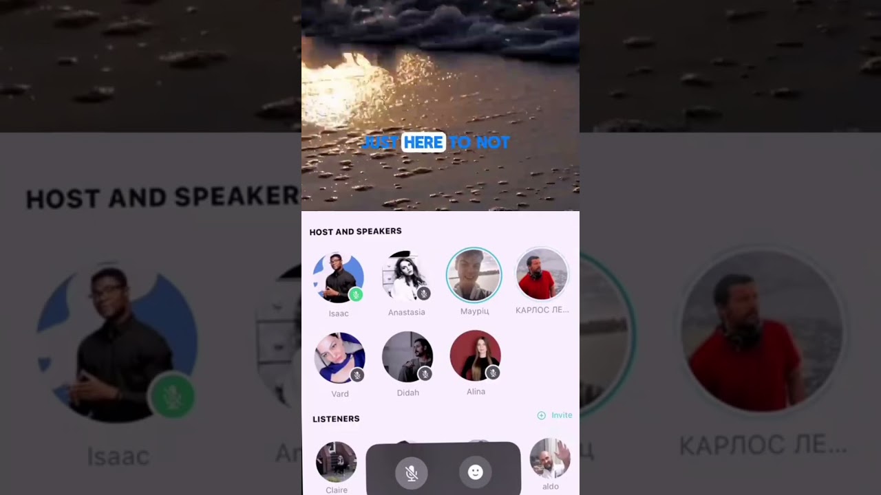 What  Do You Expect From Your Language Exchange Partner?