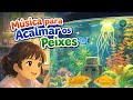 Música para ACALMAR meus peixes do aquário 🐟💊 | Funciona mesmo? 😱🎶