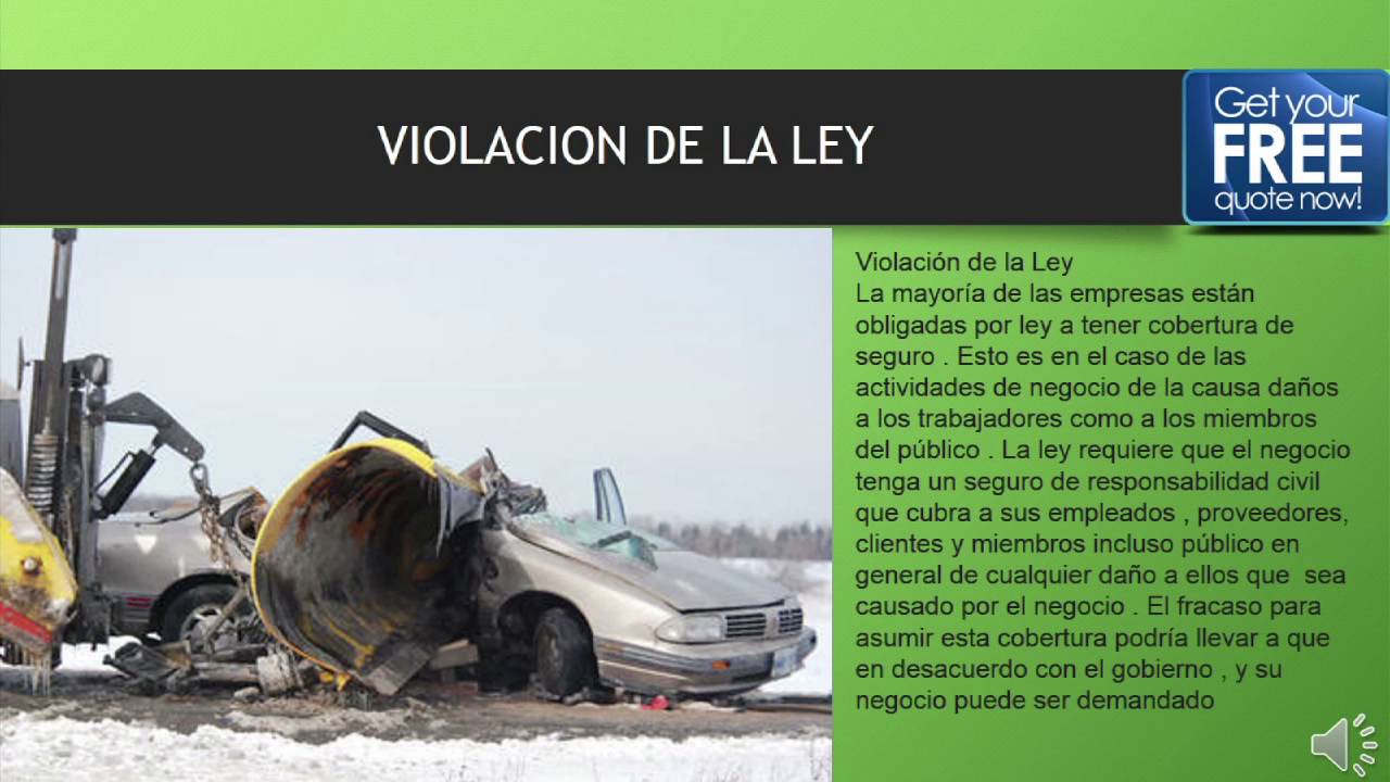 Seguro de responsabilidad civil Liability Insurance