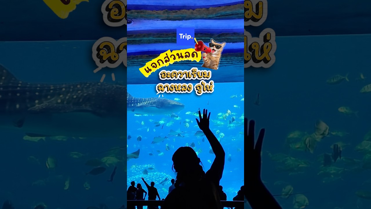 หนีร้อนไปท่องโลกใต้ทะเลที่ Chimelong Ocean Kingdom จูไห่กัน