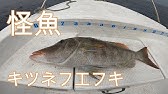 沖縄 ロックフィッシュゲームシーズン到来 奄美 タックルから釣り方まで詳細解説 ライトキャスティング Youtube 沖縄 ロックフィッシュゲームシーズン到来 奄美 タックルから釣り方まで詳細解説 ライトキャスティング Youtube