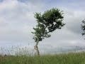 MUJI BGM4　Ireland.Private works.