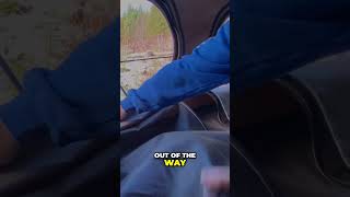 A nifty full pop camper tour