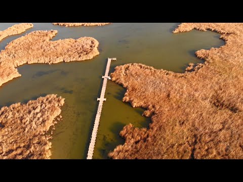 Santa Clara Wetland, Mexicali Baja | DJI Mavic Air 4K