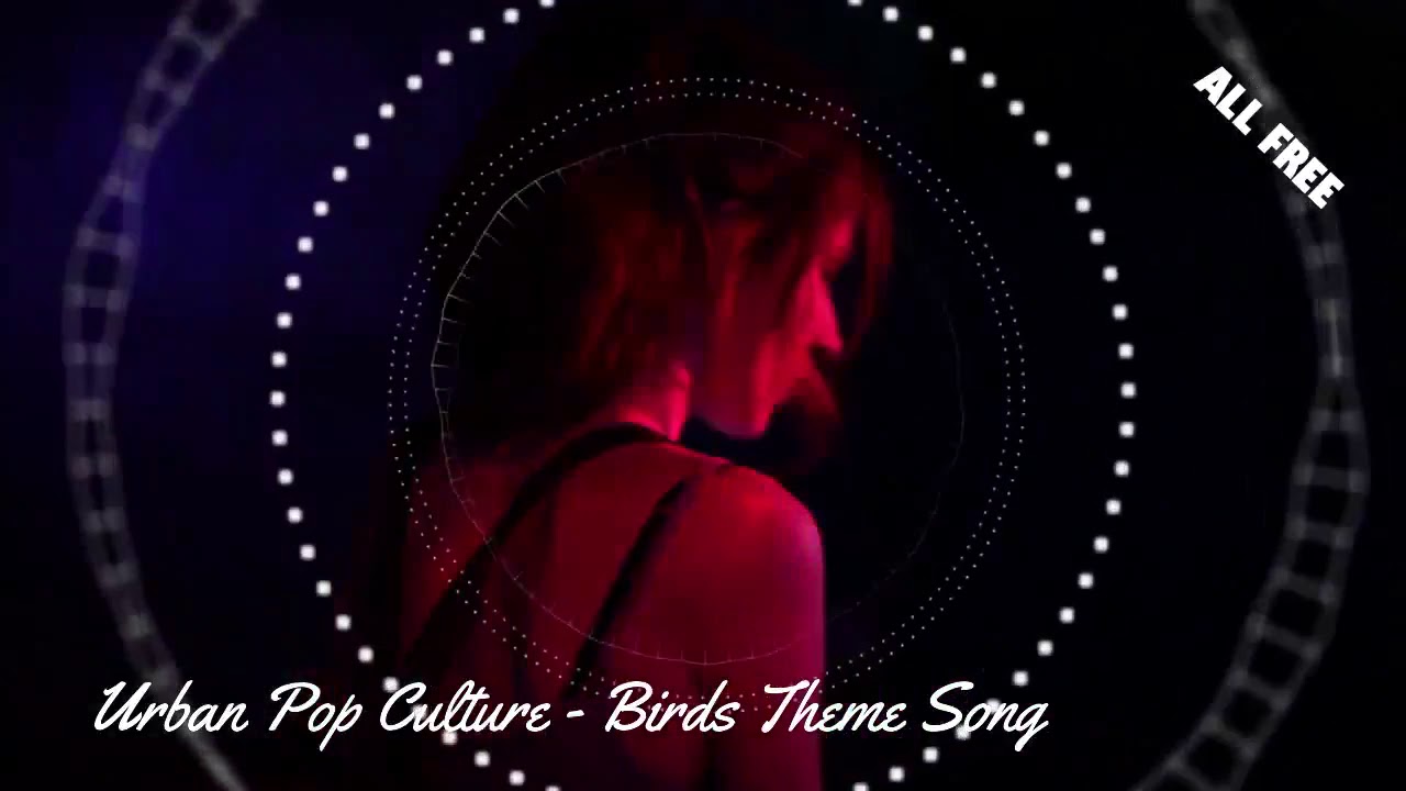 Urban Pop Culture - Birds Theme Song - No Copyright ♫ Music