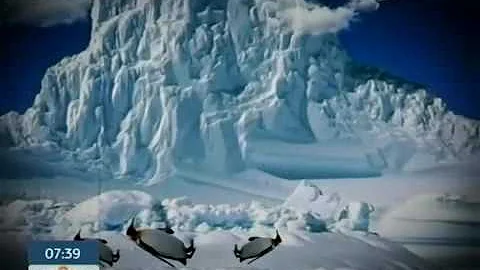 Подниматель пингвинов