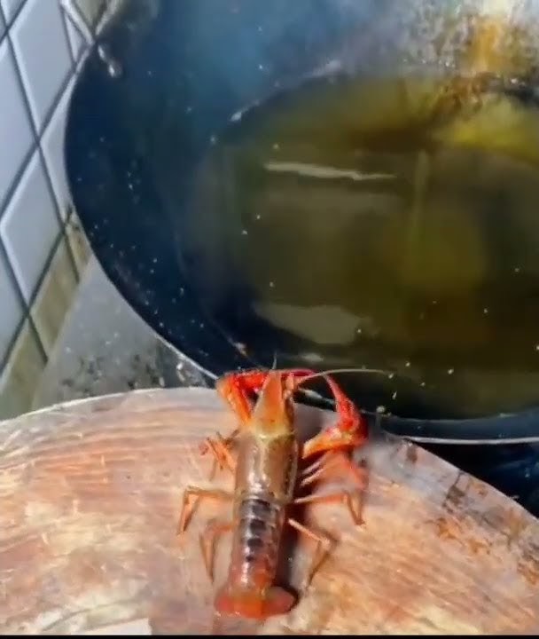 Udang masuk penggorengan sendiri