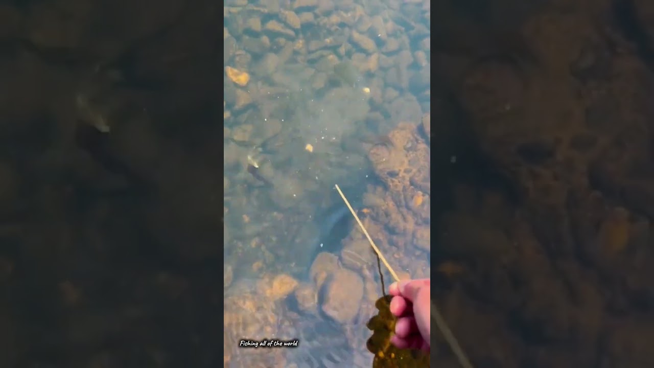 mancing dengan joran lidi bambu 