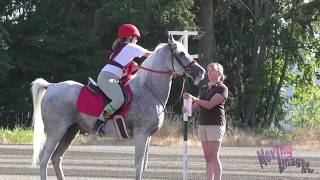 Gaming; Red Pandas; Pony Club Race screenshot 3