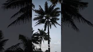 12 Days Best of Java Bali Overland Tour