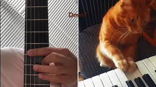 Maestro cat 🐱 Jazz Lick #9 by Akizguitar 187 views 1 year ago 35 seconds