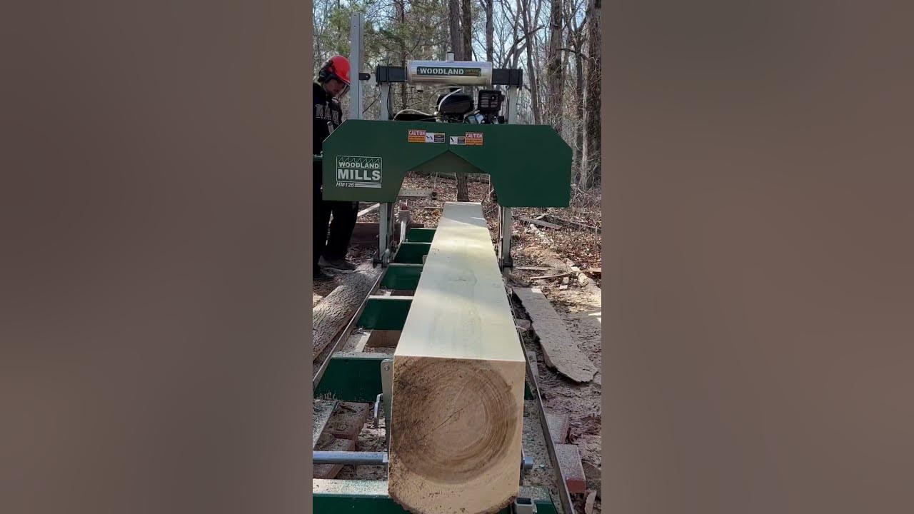 the-biggest-poplar-i-ve-ever-milled-shorts-diy-sawmill-outdoors