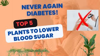 Unlocking Nature's Blood Sugar Regulators 5 Potent Plants for Type 2 Diabetes Management
