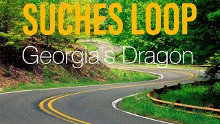 Riding Suches Loop AKA Georgia's Dragon #georgiamountains #motorcycle #dragontail #biker #twisties