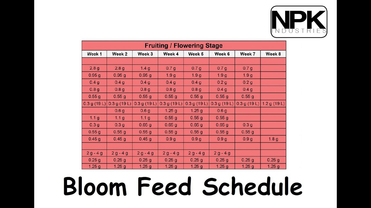 RAW Flowering Feed Schedule (NPK Industries) YouTube