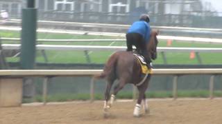 Dullahan at Churchill Downs, 5/1/2012