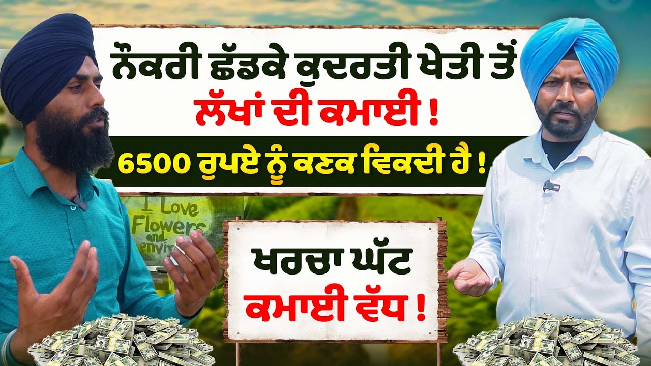 Organic kheti  ਤੋਂ ਲੱਖਾਂ ਦੀ ਕਮਾਈ ! organic Farming | Best organic Farm Punjab Sirlekh