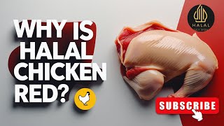 Why Is Halal Chicken Red? | Halal Slaughter Process Explained