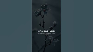 #قرآن #قران_كريم #القران_الكريم #سورة_الملك #احمد_العجمي #الشيخ_احمد_العجمي #اجر_لي_ولك