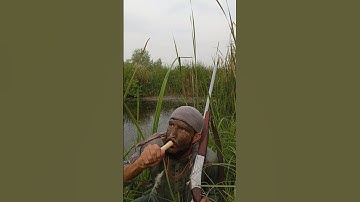 Duck Calling 101: Hunting Like a Pro | Effective Techniques & Tips