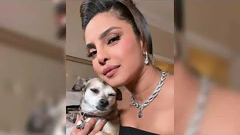 Cute Couple Priyanka Chopra and Nick Jonas Twins in Black & White all Regal Vibes at Met Gala 2023😍❤