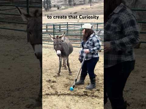 How I Created