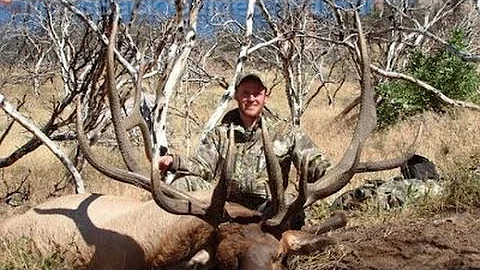406" Monster Bull Elk - Paul Jibson - MossBack