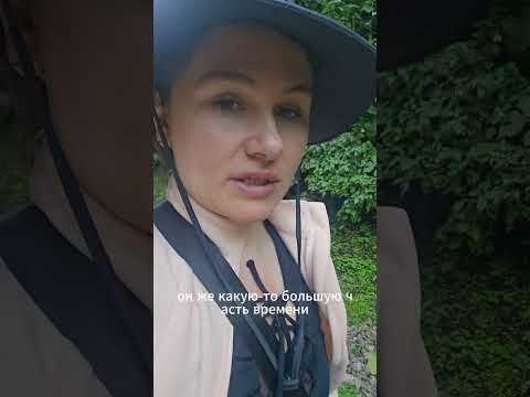 Что происходит с мозгом, когда просто идёшь и молчишь