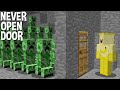 NEVER OPEN this DOOR in minecraft!