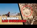 Debajo de la Hierba Encontré Hallazgos Antiguos! SORTEO