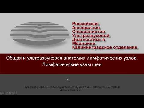 Общая и ультразвуковая анатомия лимфатических узлов. Лимфатические узлы шеи