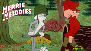 Pernalonga E Hortelino - É De Tirar O Chapéu 1956 - Dublagem Sincrovídeo