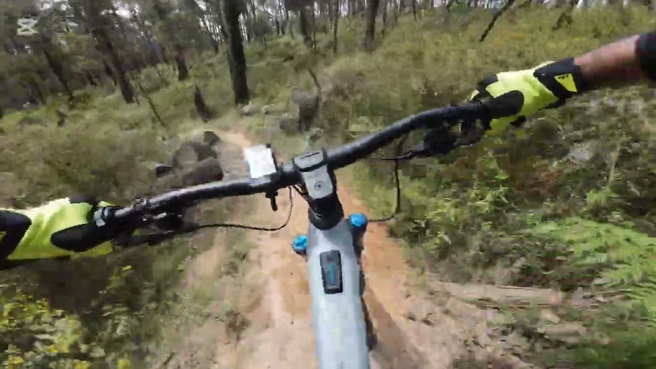 Silvan MTB - Temple of Zoom