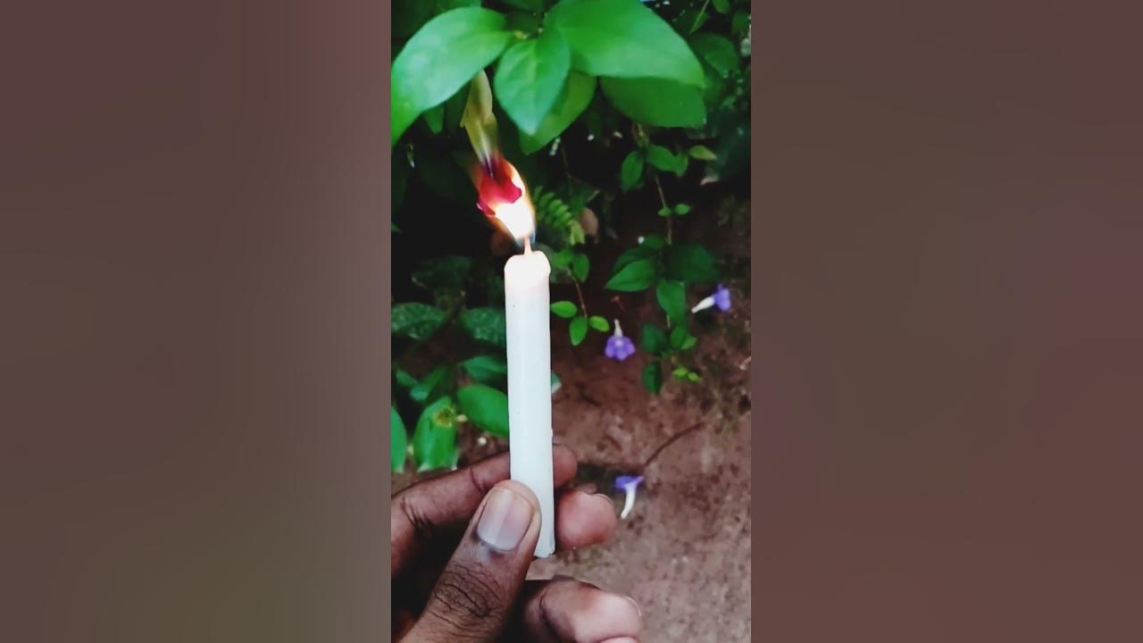 Burning flower bud youtube