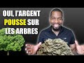 Largent pousse sur les arbres  lhistoire dun entrepreneur investisseur  succs parti de rien