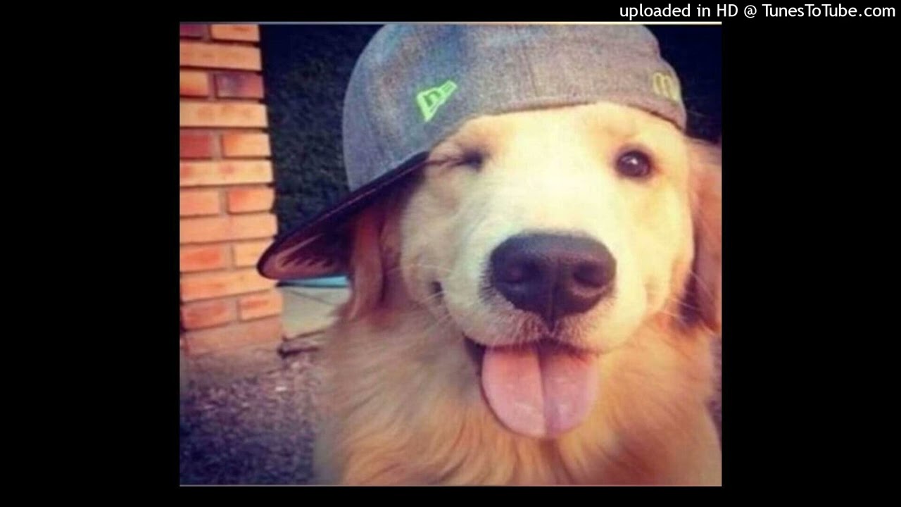 [free] glo + eelijahh + goofy + soundcloud type beat