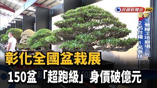 彰化全國盆栽展 150盆「超跑級」身價破億元－民視新聞