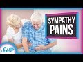 Understanding Sympathy Pains and Empathy