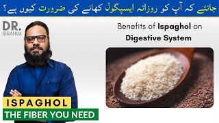 Ispaghol Ki Faide/Fayde | Benefits Of Psyllium Seeds Powder in Urdu Hindi | Dr. Ibrahim