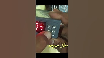 STC-1000 incubator controller